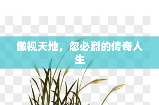 傲视天地，忽必烈的传奇人生