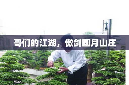 哥们的江湖，傲剑圆月山庄