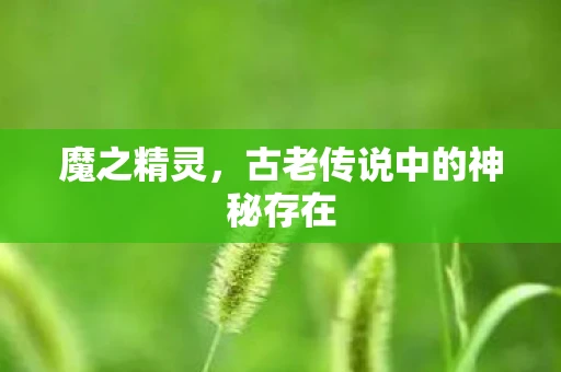 魔之精灵，古老传说中的神秘存在