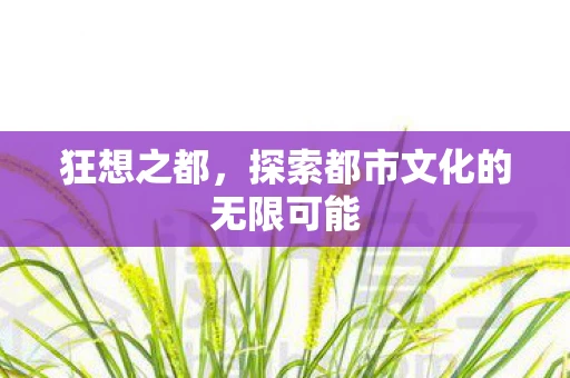 狂想之都，探索都市文化的无限可能