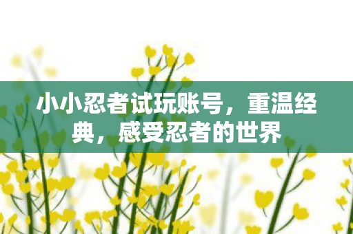 小小忍者试玩账号，重温经典，感受忍者的世界