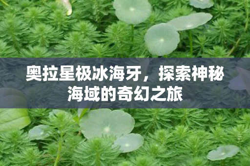 奥拉星极冰海牙，探索神秘海域的奇幻之旅