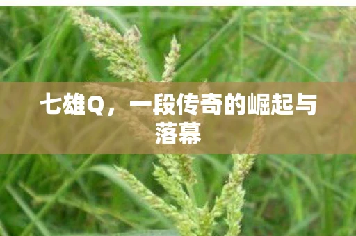 七雄Q，一段传奇的崛起与落幕