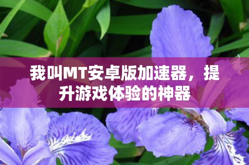 我叫MT安卓版加速器图片