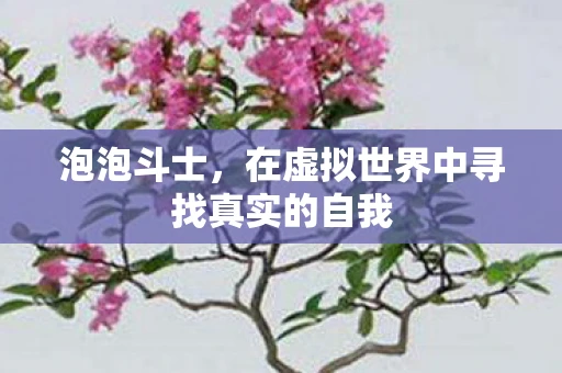 泡泡斗士，在虚拟世界中寻找真实的自我