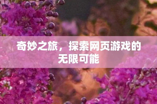 奇妙之旅，探索网页游戏的无限可能