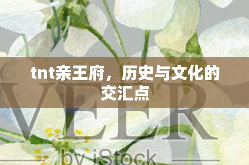 tnt亲王府，历史与文化的交汇点
