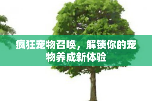 疯狂宠物召唤，解锁你的宠物养成新体验