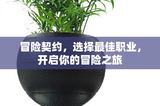 冒险契约，选择最佳职业，开启你的冒险之旅