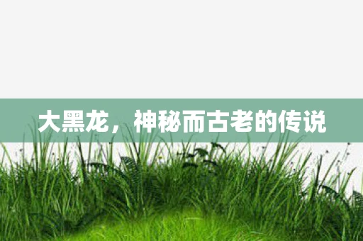 大黑龙，神秘而古老的传说