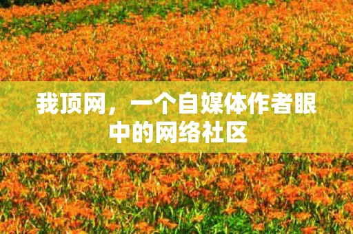 我顶网，一个自媒体作者眼中的网络社区