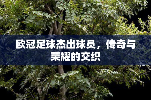 欧冠足球杰出球员，传奇与荣耀的交织