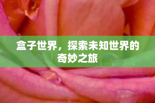 盒子世界，探索未知世界的奇妙之旅