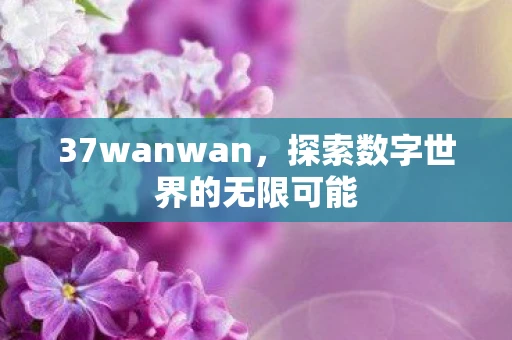 37wanwan，探索数字世界的无限可能