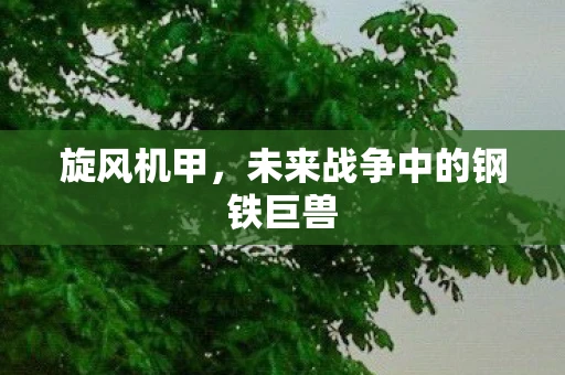 旋风机甲，未来战争中的钢铁巨兽