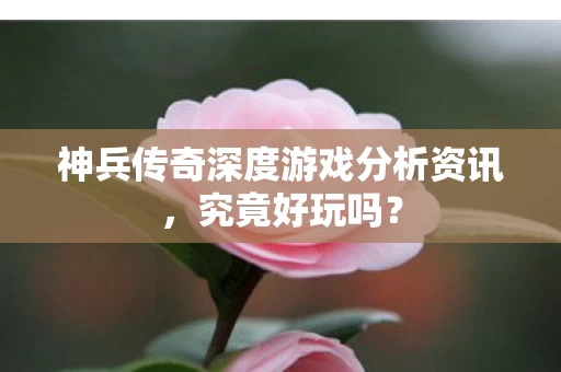 神兵传奇深度游戏分析资讯图片