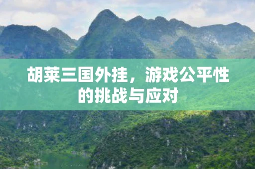 胡莱三国外挂，游戏公平性的挑战与应对