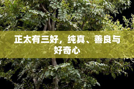 正太有三好，纯真、善良与好奇心