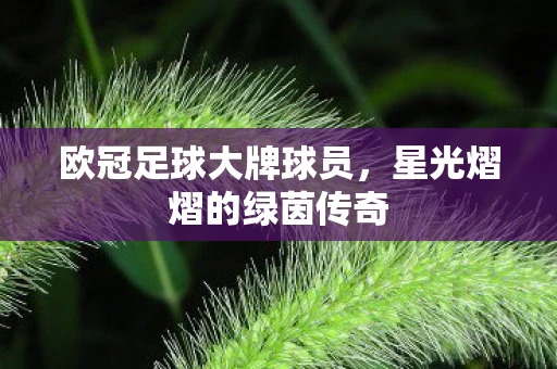 欧冠足球大牌球员，星光熠熠的绿茵传奇