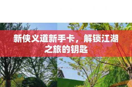 新侠义道新手卡，解锁江湖之旅的钥匙