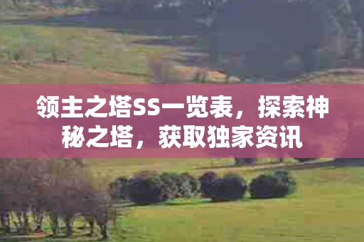 领主之塔SS一览表图片
