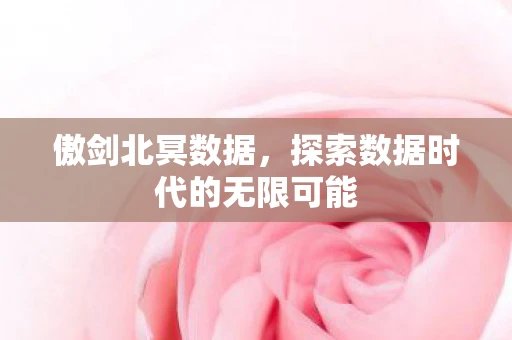 傲剑北冥数据，探索数据时代的无限可能