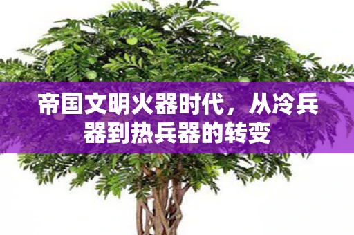 帝国文明火器时代，从冷兵器到热兵器的转变