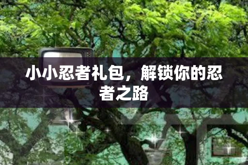 小小忍者礼包，解锁你的忍者之路