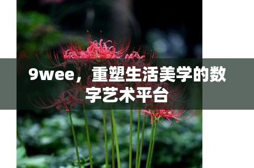 9wee，重塑生活美学的数字艺术平台