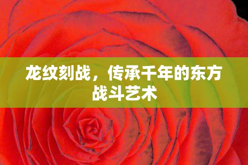 龙纹刻战，传承千年的东方战斗艺术