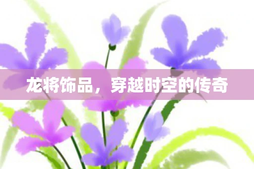 龙将饰品，穿越时空的传奇
