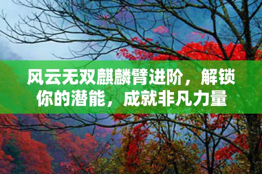 风云无双麒麟臂进阶，解锁你的潜能，成就非凡力量