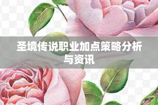 圣境传说职业加点策略分析与资讯图片