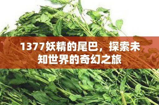1377妖精的尾巴，探索未知世界的奇幻之旅