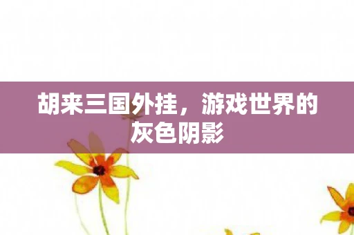 胡来三国外挂，游戏世界的灰色阴影