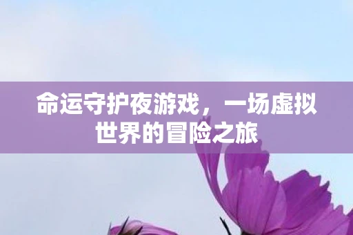 命运守护夜游戏，一场虚拟世界的冒险之旅