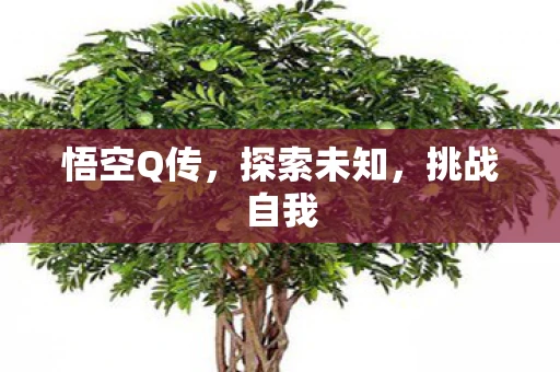 悟空Q传，探索未知，挑战自我
