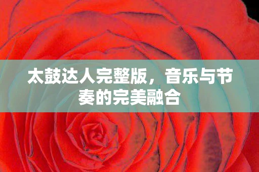 太鼓达人完整版，音乐与节奏的完美融合