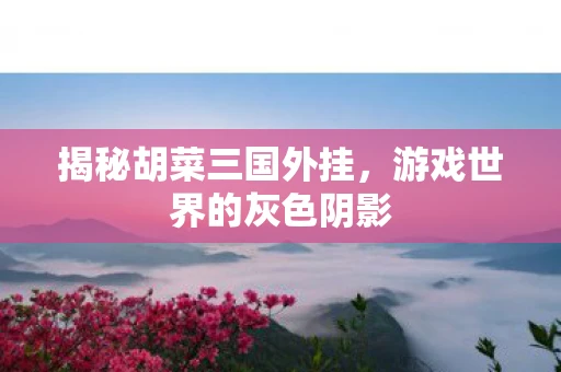 揭秘胡菜三国外挂，游戏世界的灰色阴影