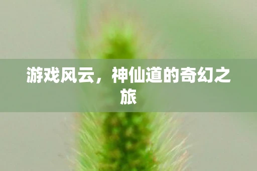 游戏风云，神仙道的奇幻之旅