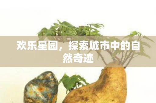 欢乐星园，探索城市中的自然奇迹