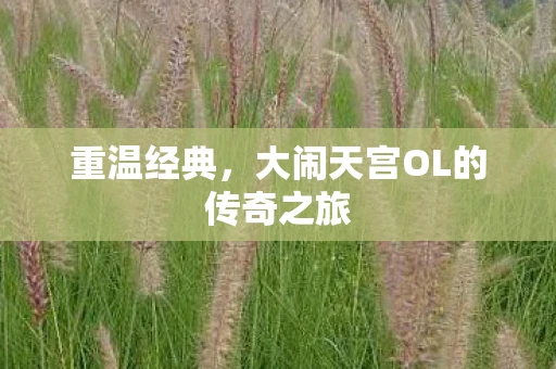 重温经典，大闹天宫OL的传奇之旅