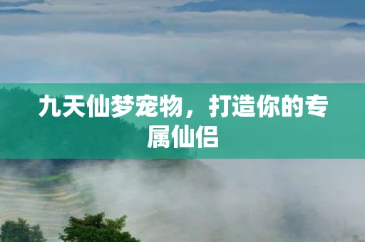 九天仙梦宠物，打造你的专属仙侣