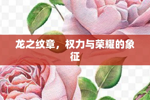 龙之纹章，权力与荣耀的象征