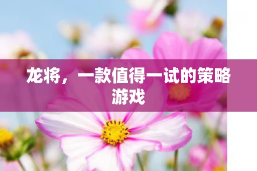 龙将，一款值得一试的策略游戏