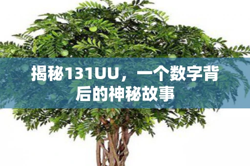 揭秘131UU，一个数字背后的神秘故事