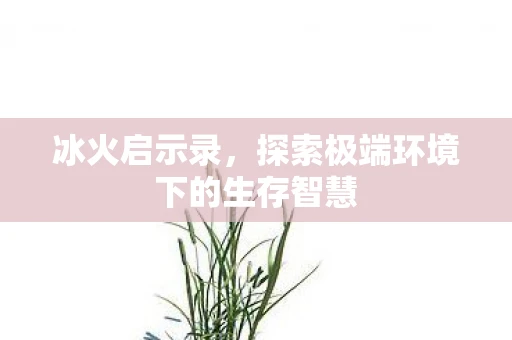 冰火启示录，探索极端环境下的生存智慧