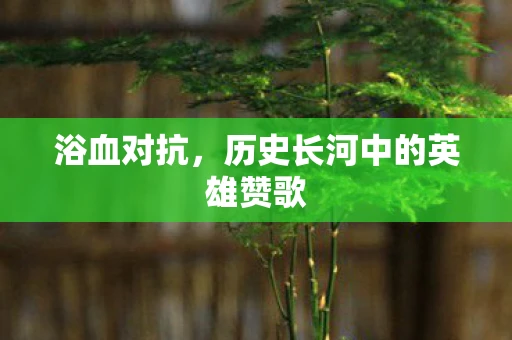 浴血对抗，历史长河中的英雄赞歌