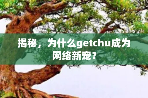 揭秘，为什么getchu成为网络新宠？