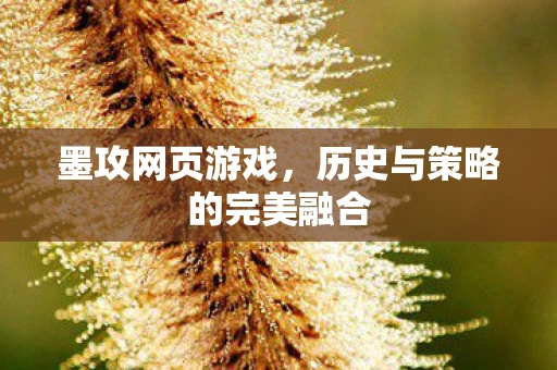 墨攻网页游戏，历史与策略的完美融合
